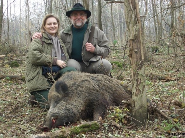 Vaddisznó vadászat Magyarországon