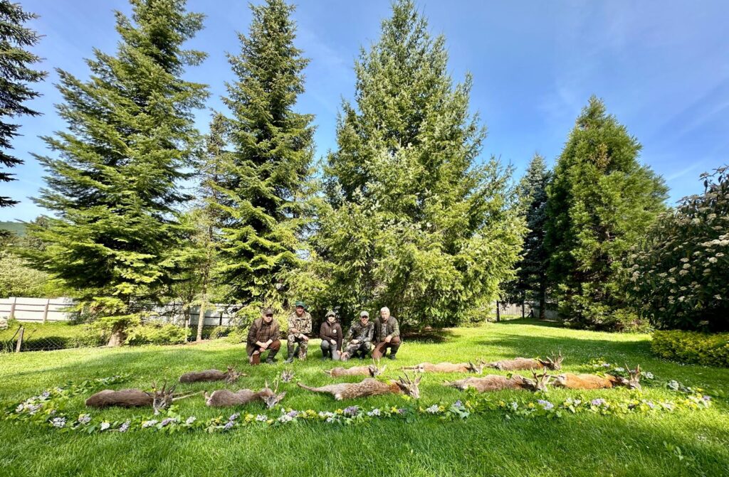 f72dde5b 3a4c 4348 8fa0 d506d58e50f3