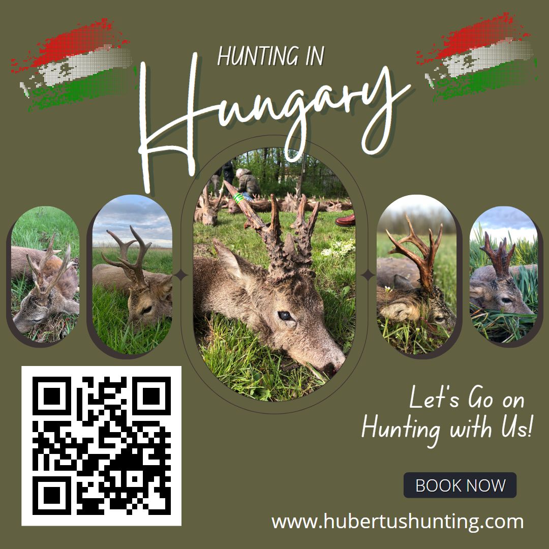 495192702 1264511829016799 854635529769777850 n