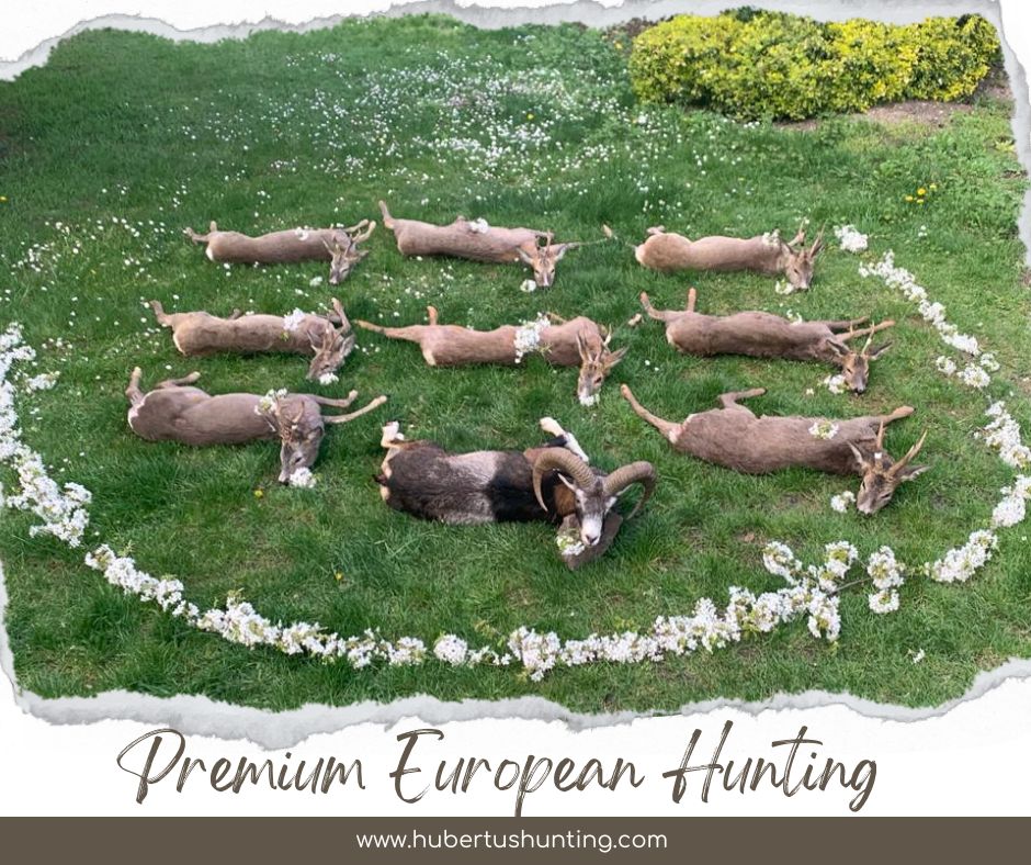 573055727 1421969423271038 6466645361961724507 n